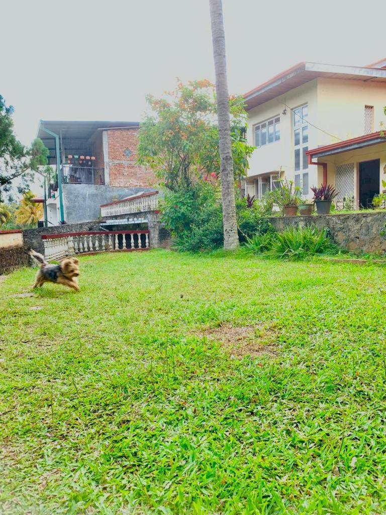No 06 Veediya Bandara Lane Bahirawakanda Kandy Luaran gambar